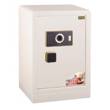 艾斐堡 風(fēng)尚系列保管柜 BGX-5/X1-70-FS